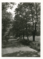 Bekijk detail van "Buurt Paradijs"