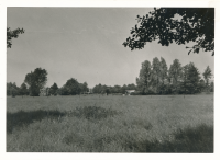 Bekijk detail van "Buurt Paradijs"