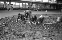 Bekijk detail van "Station <span class="highlight">Almelo</span>"