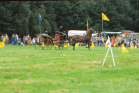 Bekijk detail van "<span class="highlight">Paardensport</span>"