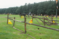 Bekijk detail van "<span class="highlight">Paardensport</span>"