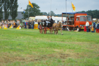 Bekijk detail van "<span class="highlight">Paardensport</span>"