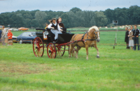 Bekijk detail van "<span class="highlight">Paardensport</span>"