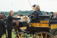 Bekijk detail van "<span class="highlight">Paardensport</span>"