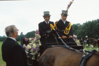 Bekijk detail van "<span class="highlight">Paardensport</span>"