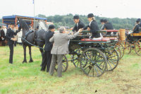 Bekijk detail van "<span class="highlight">Paardensport</span>"