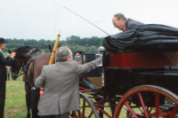 Bekijk detail van "<span class="highlight">Paardensport</span>"