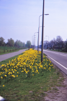 Bekijk detail van "Binnenkomst <span class="highlight">Almelo</span> Wierdensestraat"