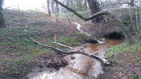 Bekijk detail van "Het samenvloeien van watersystemen in de Mosbeek."