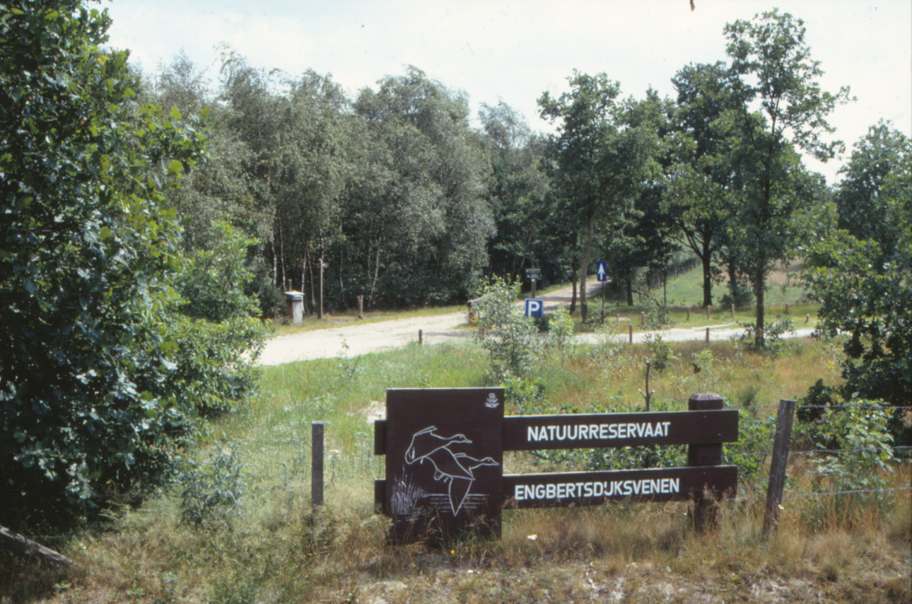 Bekijk detail van "HV101271: Natuurgebied de 'EngbertsdijksVenen' in Kloosterhaar, juni 1995."