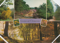 Bekijk detail van "Verzamelansichtkaart “Groeten uit Ootmarsum”."