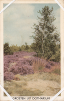 Bekijk detail van "Ansichtkaart met heidelandschap 'Groeten uit Ootmarsum'."