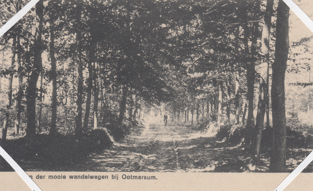 Bekijk detail van ""Een der mooie wandelwegen bij Ootmarsum"."