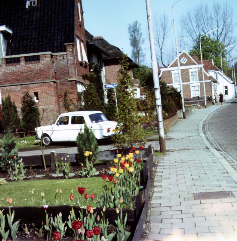 Bekijk detail van "De Almelosestraat met entree Appellaantje."