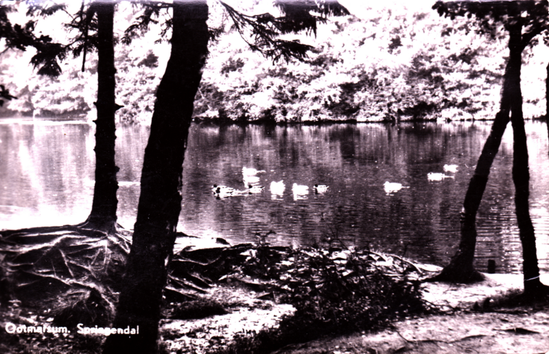 Bekijk detail van "Ootmarsum, de grote kolk op het Springendal."