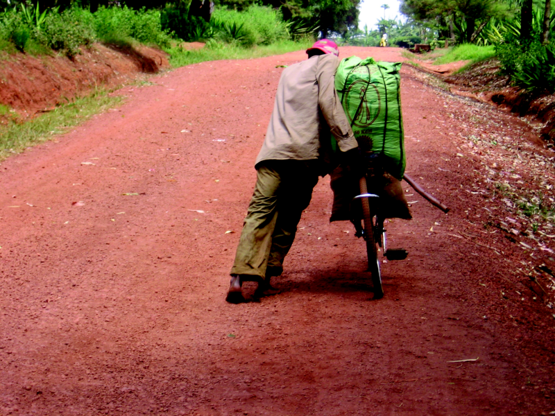 Bekijk detail van "Zandwegen in Rwanda bemoeilijken het werk van emigrant Arnoud Meijberg."