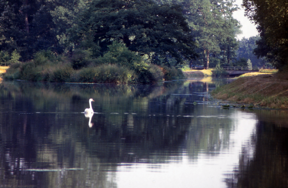 Bekijk detail van "Loolee"