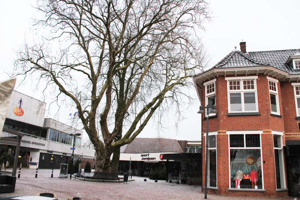 Bekijk detail van "Het centrum"