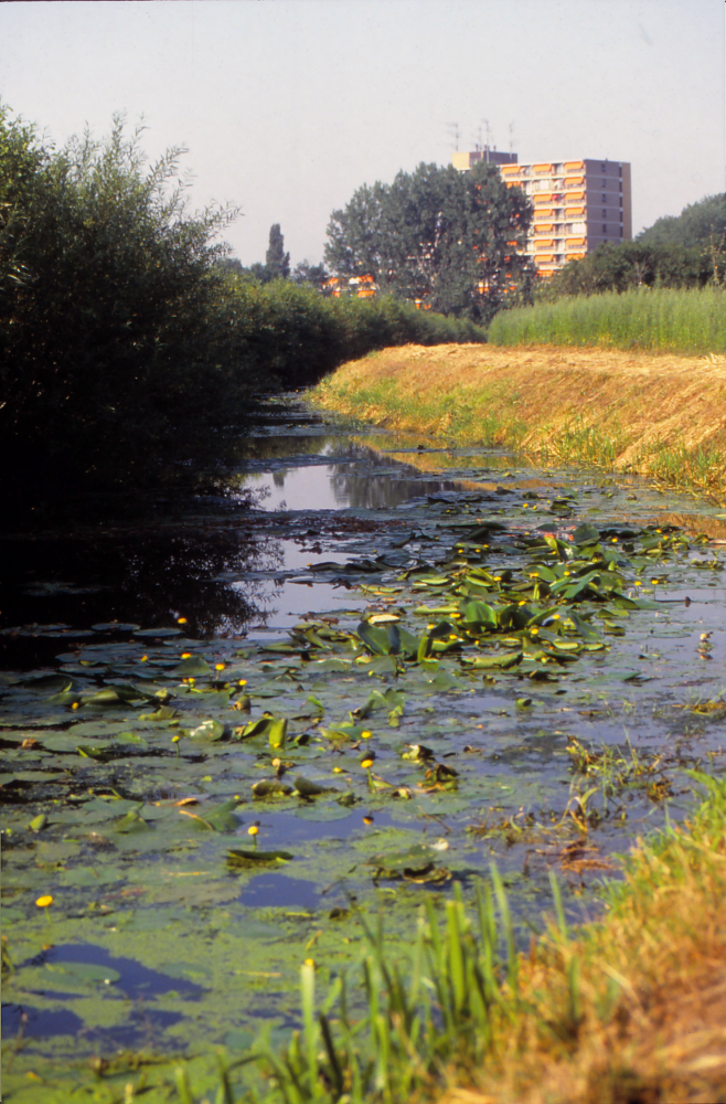 Bekijk detail van "Castelloflat"