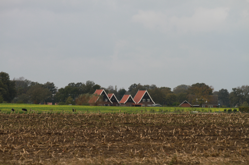 Bekijk detail van "Landschap Hertme"