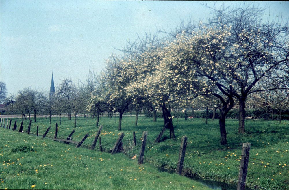 Bekijk detail van "Gravenallee"