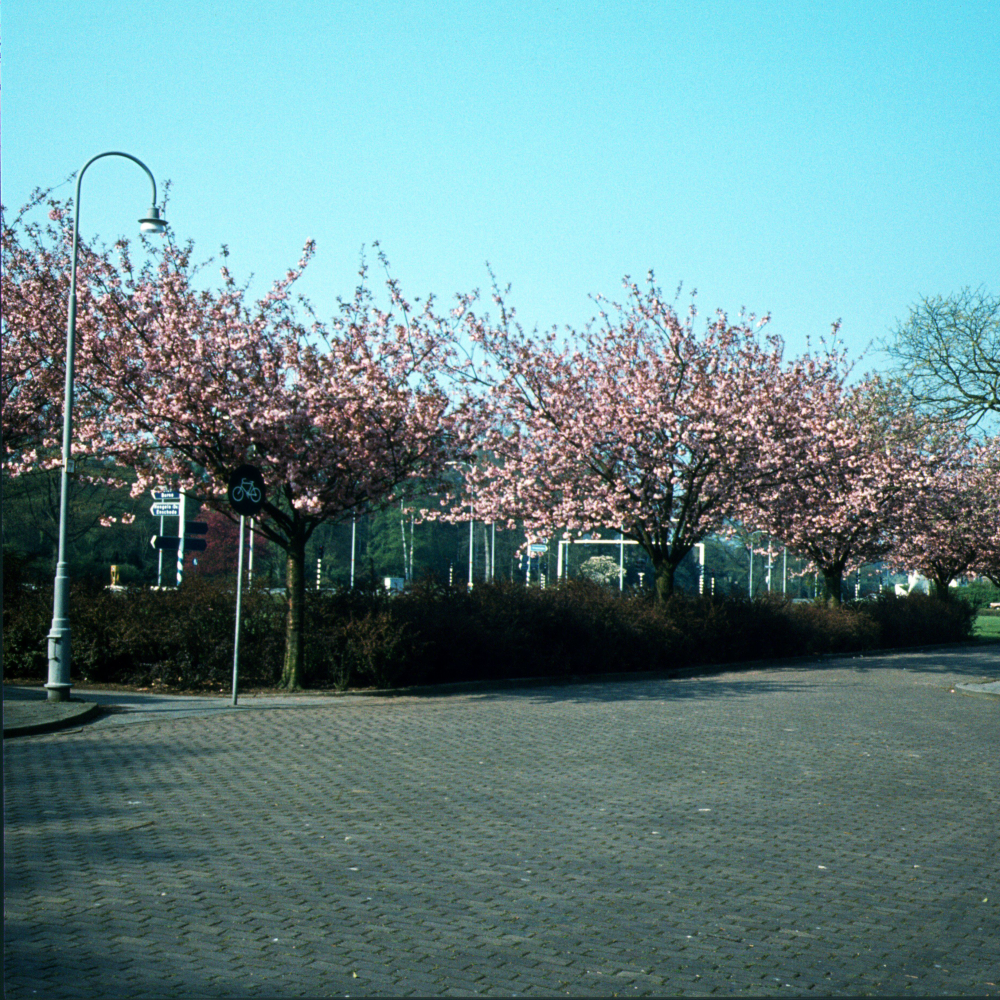 Bekijk detail van "Kruising Wierdensestraat"