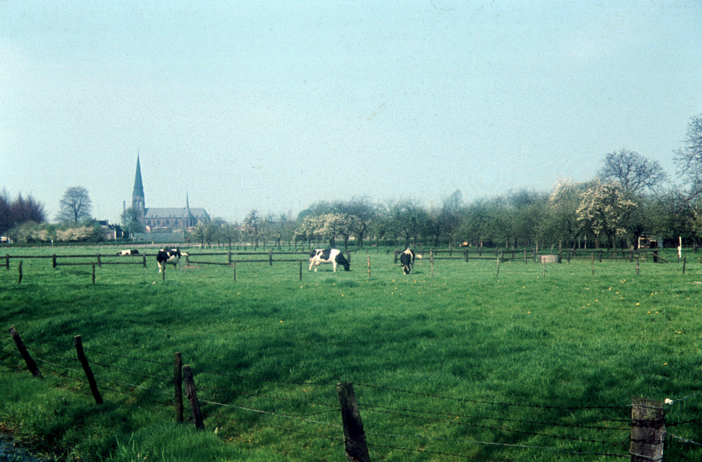 Bekijk detail van "Twentse boerderij"