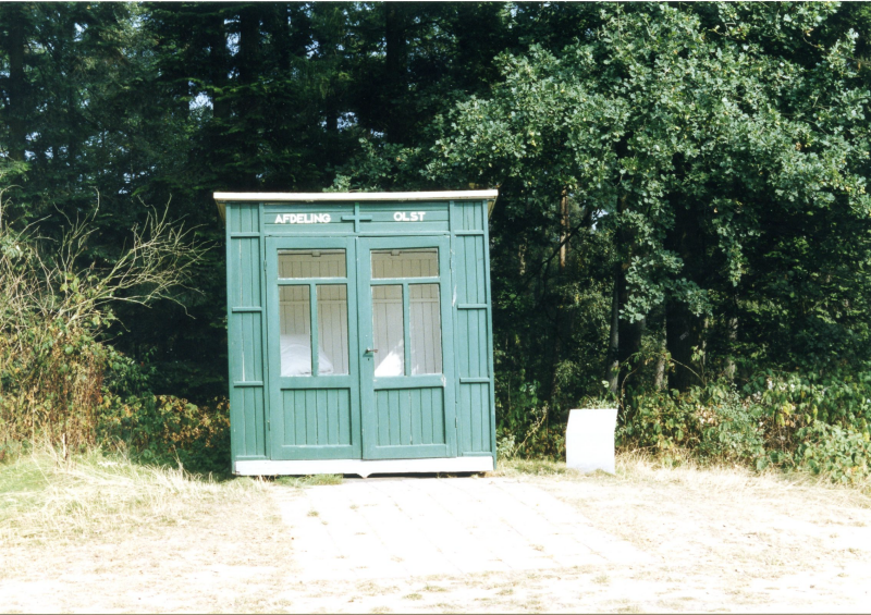 Bekijk detail van "T.B.C. huisje afd. Olst in het openlucht museum Arnhem, 1999"