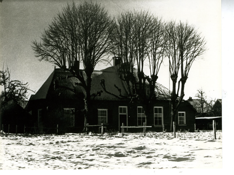 Bekijk detail van "Boerderij Steendijk Beltenweg 19 Den Nul"