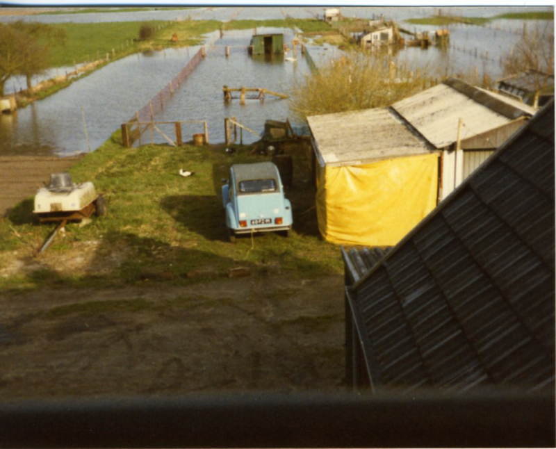 Bekijk detail van "Hoogwater op Fortmond, 1963"