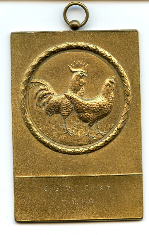 Bekijk detail van "Rechthoekige medaille: O.P.V. Olst 1930"
