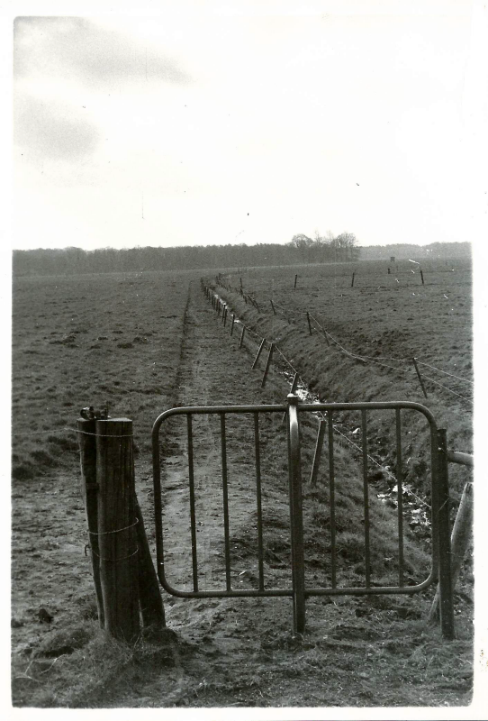 Bekijk detail van "Olst geeft voetgangers ruim baan met het herstellen van het Drostenpad, 1974"