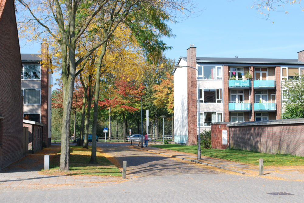 Bekijk detail van "Woningen Ootmarsumsedwarsweg"