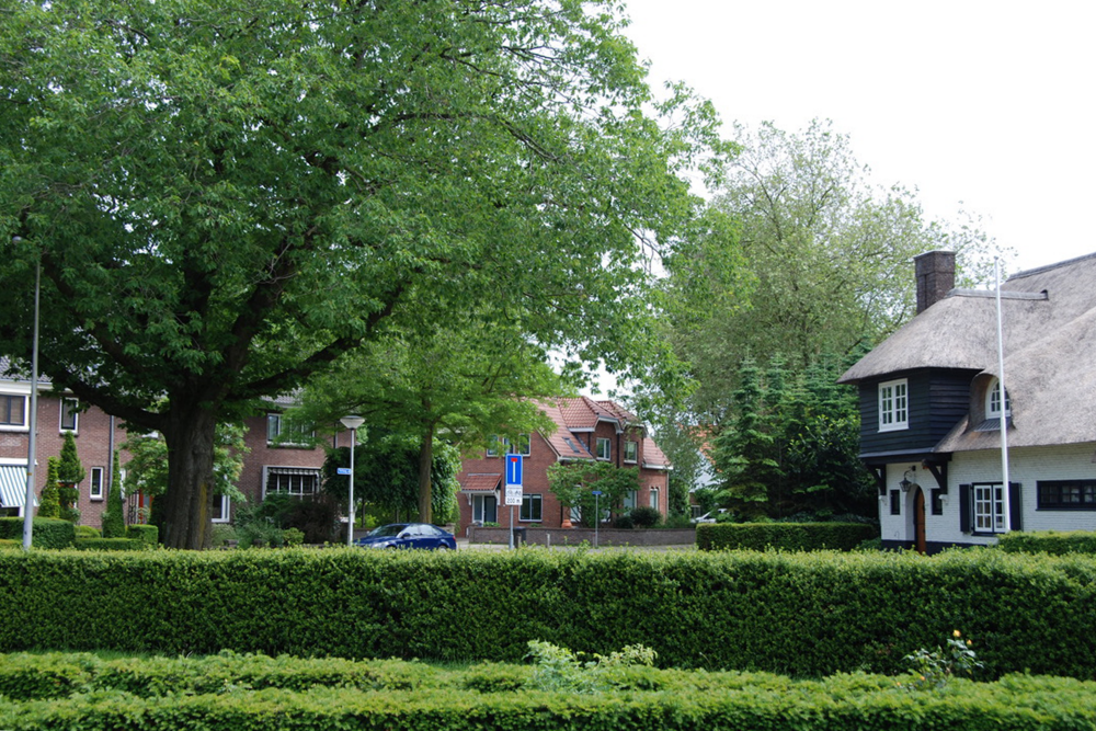 Bekijk detail van "Tijhofspark-Rosarium"