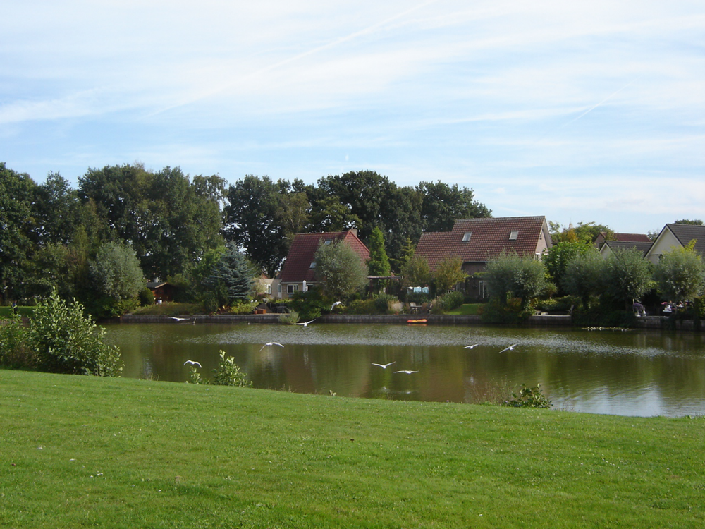 Bekijk detail van "Vijver Windmolenbroek"