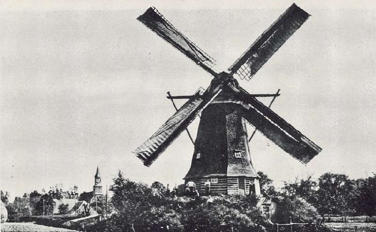 Bekijk detail van "Distels molen rond 1920"