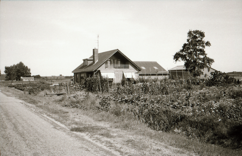 Bekijk detail van "HV42219:Foto van de  woning van de fam. Bekman aan de Beekweg in Baalder"