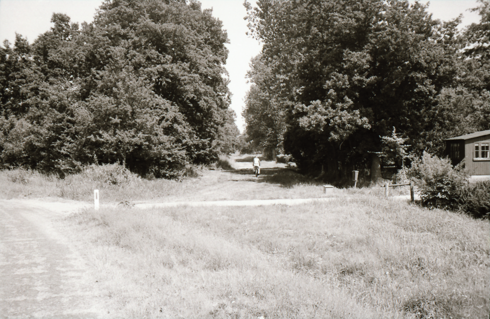 Bekijk detail van "HV42221: Foto van de  Weversvelddijk"