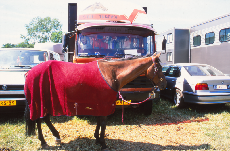 Bekijk detail van "<span class="highlight">Paardensport</span>"