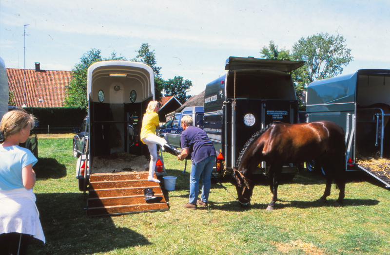 Bekijk detail van "<span class="highlight">Paardensport</span>"