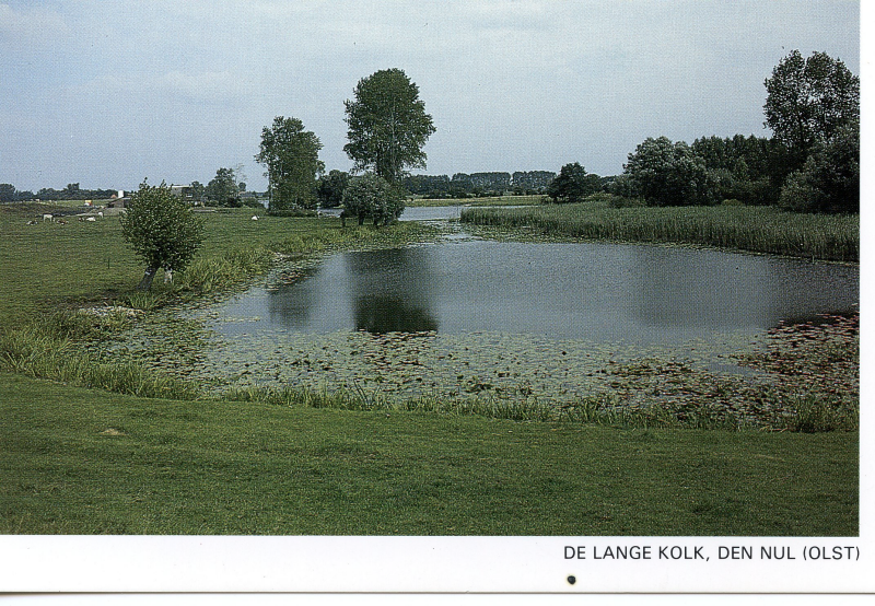 Bekijk detail van "Ansichtkaart: De Lange Kolk, Den Nul (Olst), 1987"