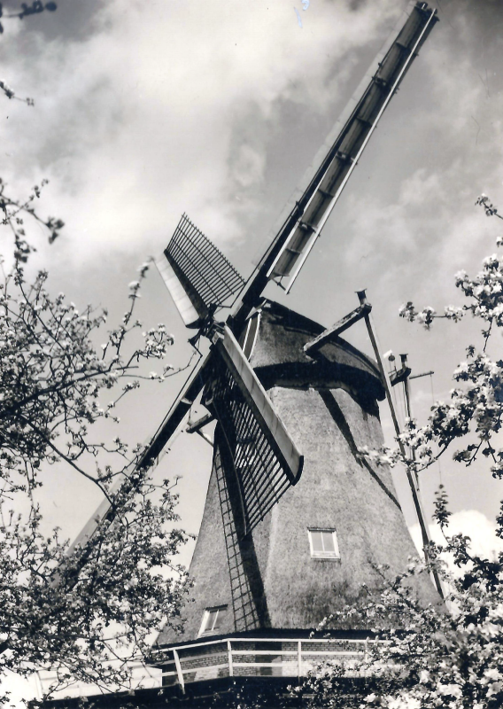 Bekijk detail van "Goor. 1960. Braakmolen"