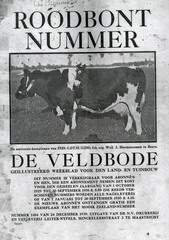 Bekijk detail van "Artikel uit De Veldbode, weekblad voor land- en tuinbouw: Het Welsumer hoen, 1929"