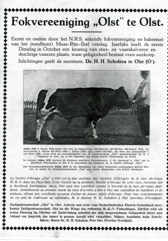 Bekijk detail van "Advertentie: Fokvereeniging 'Olst' te Olst, 1929"