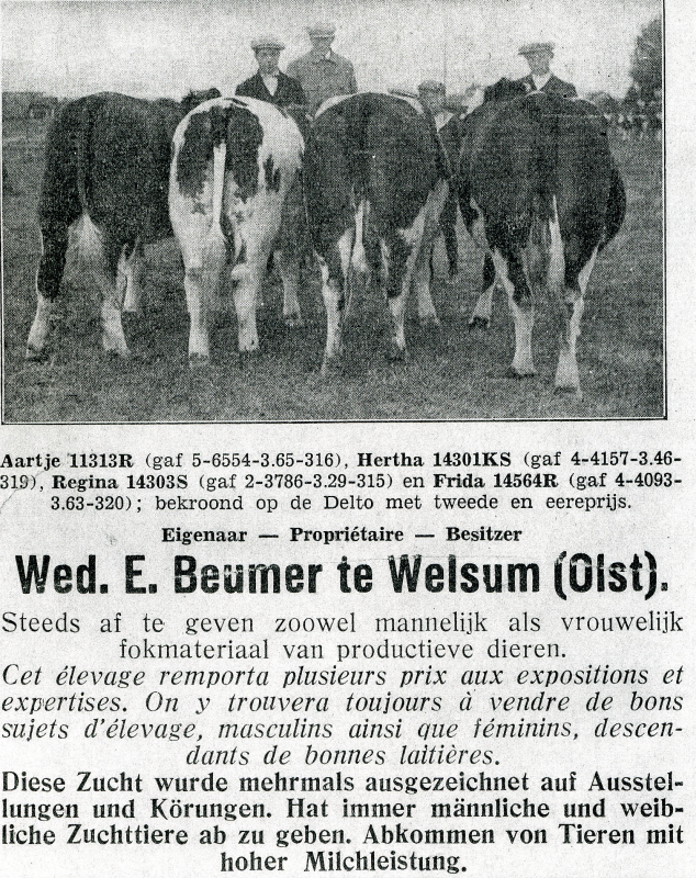 Bekijk detail van "Koeien: Aartje 11313R, Hertha 14301KS, Regina 14303S en Frida 14564R, Eigen. Wed. E. Beumer te <span class="highlight">Welsum</span>, 1929"