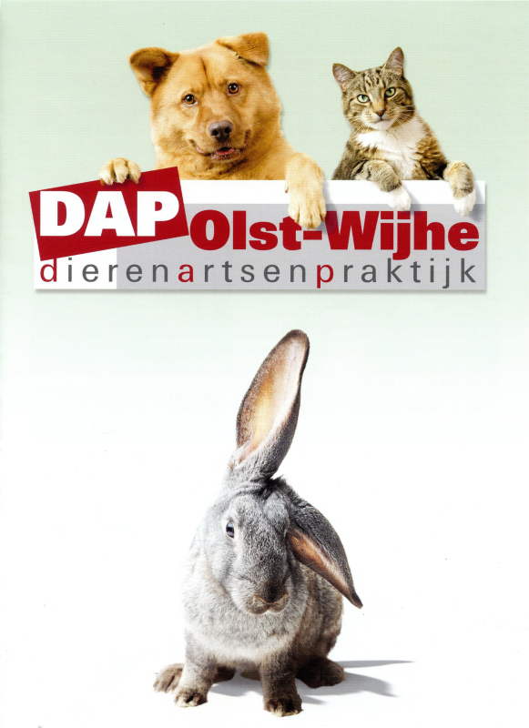 Bekijk detail van "Reclamefolder : DAP Olst-Wijhe, dierenartsenpraktijk"