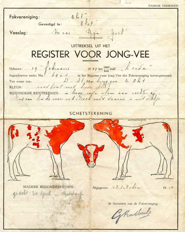 Bekijk detail van "<span class="highlight">Uittreksel</span> uit het register voor jong vee van fokvereniging ,,Olst", 1950"
