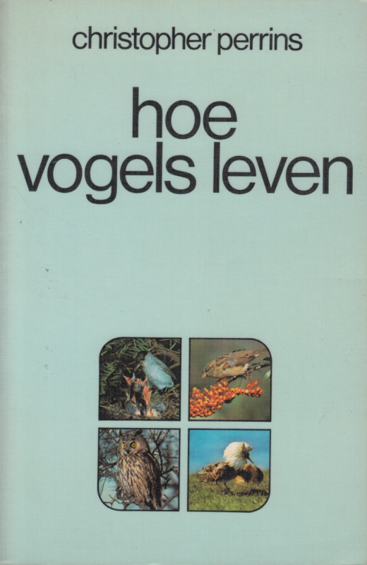 Bekijk detail van "Hoe vogels leven"