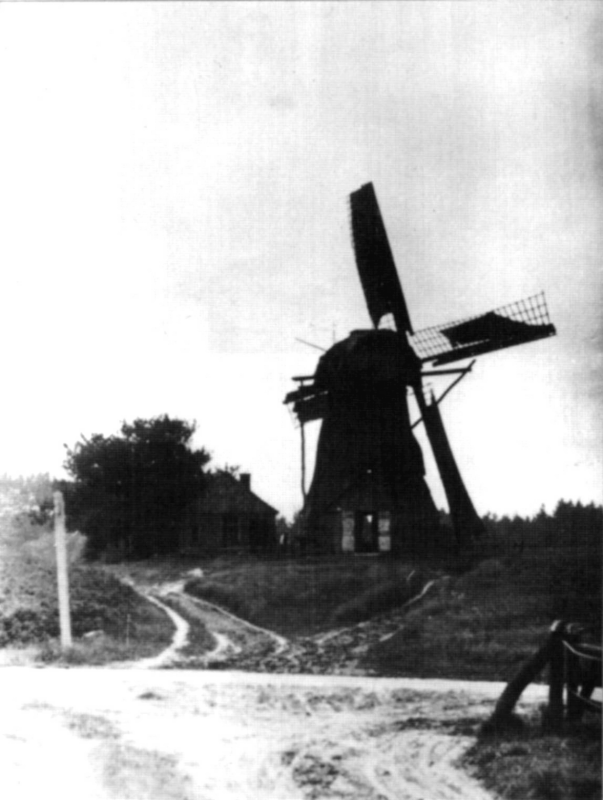 Bekijk detail van "De korenmolen in Nutter in volle glorie."