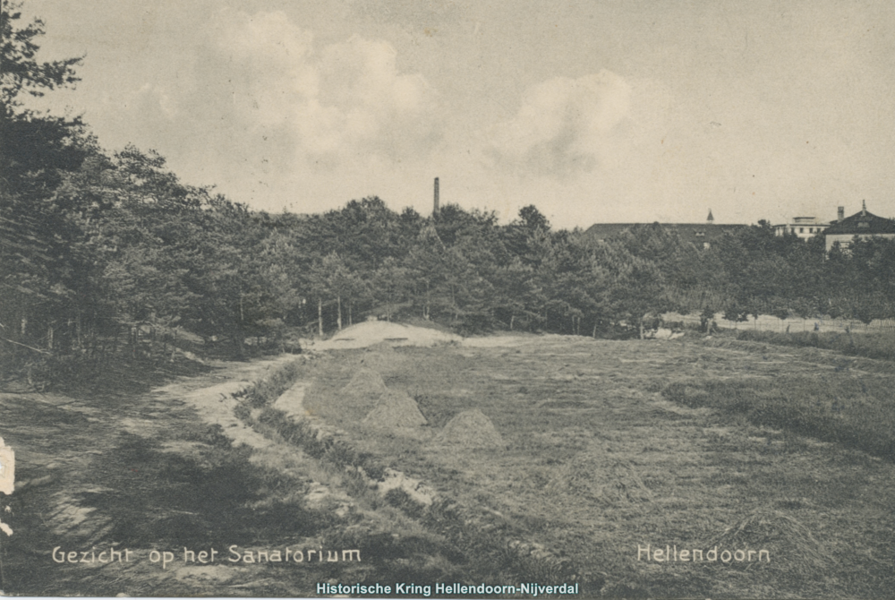 Bekijk detail van "Gezicht op het Sanatorium Hellendoorn"